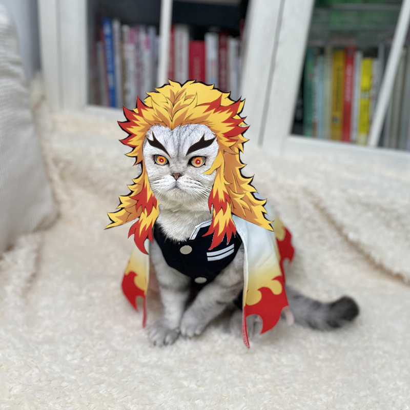 Cosplay Flame Prop - Robes de cosplay Monténégro de démons