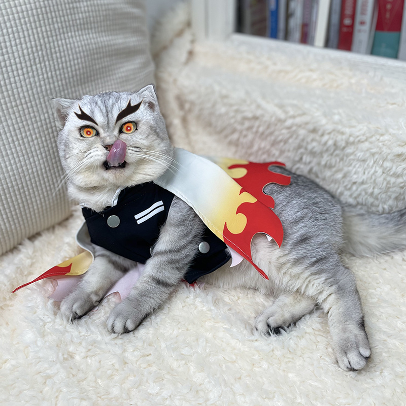 Robes de cosplay Monténégro de - Cosplay Flame Prop avis et prix