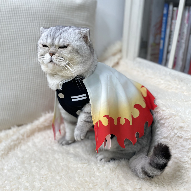 Robes de cosplay Monténégro de - Cosplay Flame Prop avis et prix